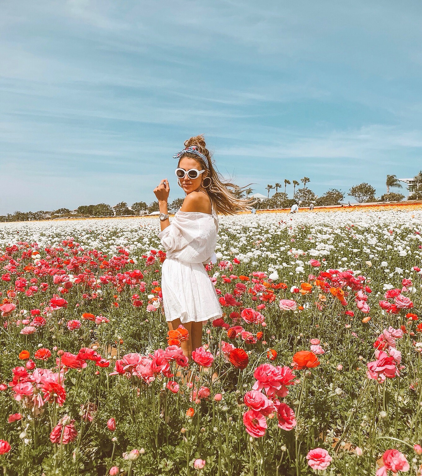 hello fashion flower fields